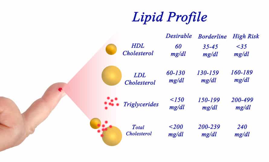 LDL-Cholesterol May Be Overestimated on a Low-Carb, High-Fat (LCHF) Diet