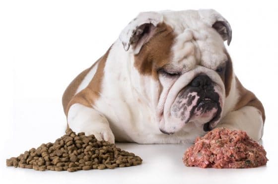 Natural Food For Diabetic Dog Natural Food For Diabetic Dog