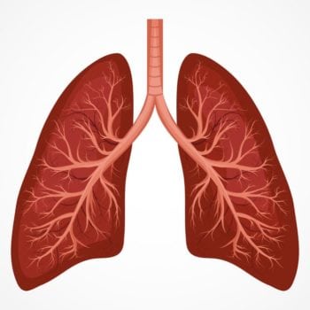 22 Important Causes of Acute and Chronic Cough
