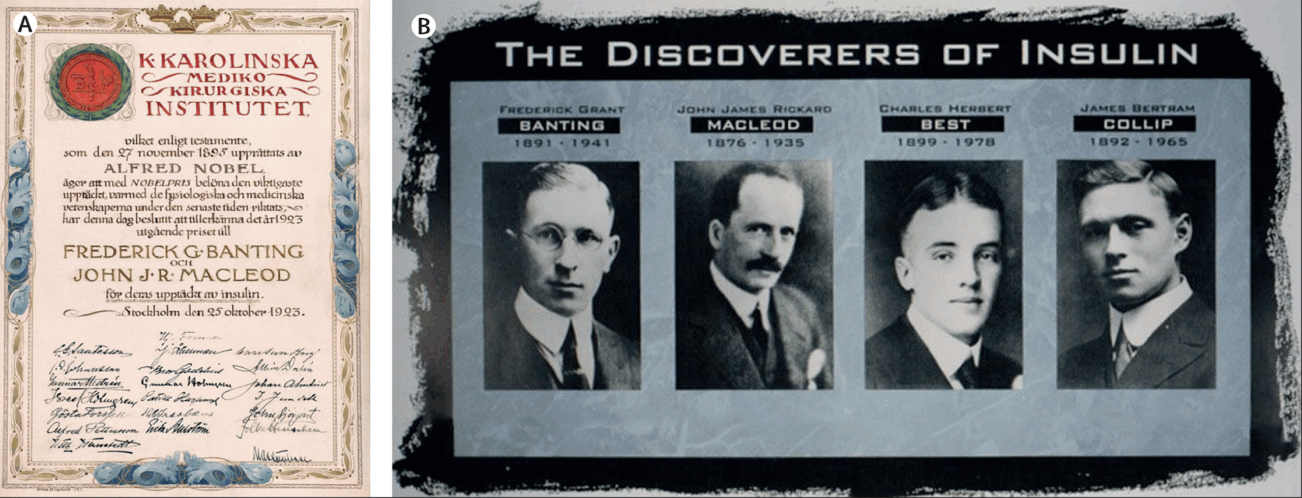 The Nobel Prize in Physiology or Medicine, awarded in 1923. The Nobel Prize Diploma awarded in 1923 to Frederick Banting and John Macleod for the discovery of insulin